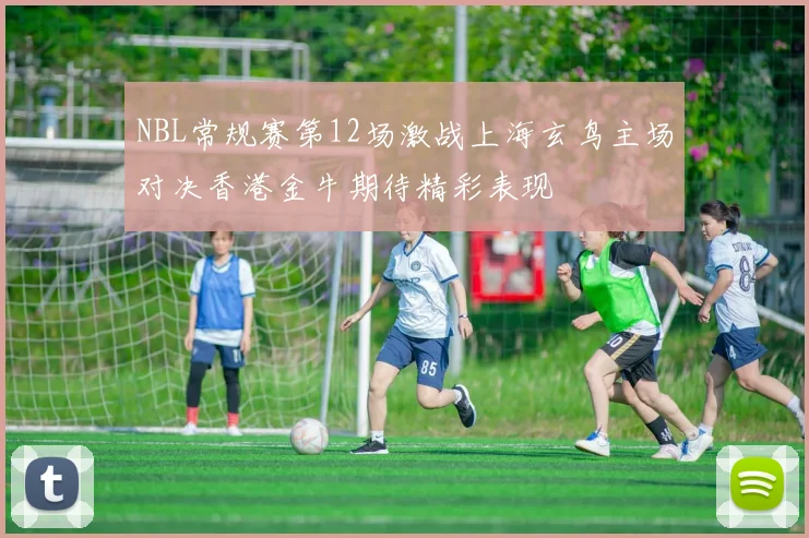 NBL常规赛第12场激战上海玄鸟主场对决香港金牛期待精彩表现