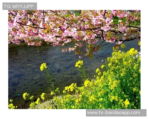 克莱深情命名小船冬梅展现爱的执着与温暖